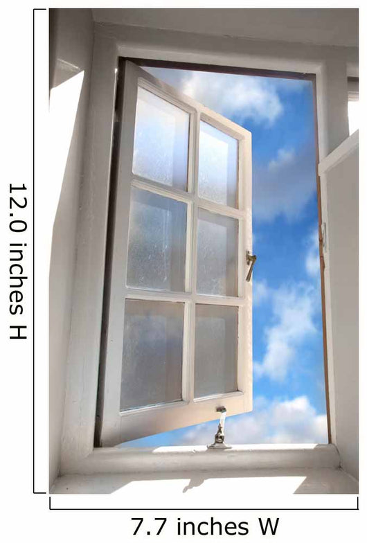Window Wall Mural