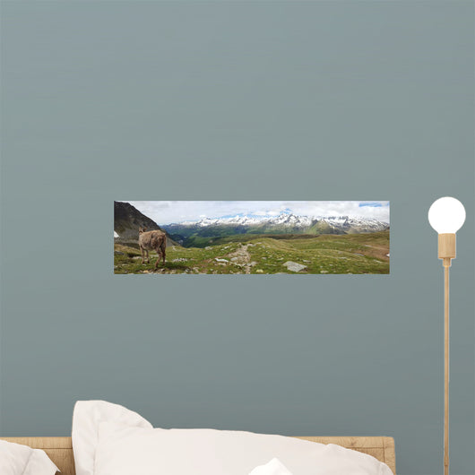 Alpine Mountain View Wall Mural