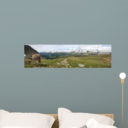 Alpine Mountain View Wall Mural