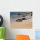 turtles on the beach Wall Mural
