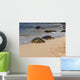 turtles on the beach Wall Mural