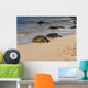 turtles on the beach Wall Mural