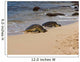 turtles on the beach Wall Mural