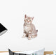 British kitten on white background Wall Decal