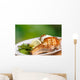 Grilled meat with vegetables Wall Mural