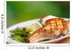 Grilled meat with vegetables Wall Mural
