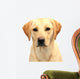 Headshot of Cute Labrador Pup Wall Decal