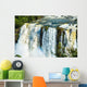 Iguazu Falls, on the border of Brazil and Argentina Wall Mural