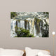 Iguazu Falls, on the border of Brazil and Argentina Wall Mural