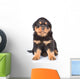 Little rottweiler puppy sitting in front view. Isolated on white Wall Decal