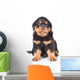 Little rottweiler puppy sitting in front view. Isolated on white Wall Decal