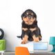 Little rottweiler puppy sitting in front view. Isolated on white Wall Decal