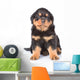 Little rottweiler puppy sitting in front view. Isolated on white Wall Decal