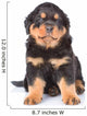 Little rottweiler puppy sitting in front view. Isolated on white Wall Decal