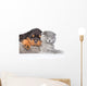 Cat and rottweiler puppy  sleeping together. Isolated on white Wall Decal