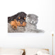 Cat and rottweiler puppy  sleeping together. Isolated on white Wall Decal