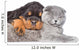 Cat and rottweiler puppy  sleeping together. Isolated on white Wall Decal