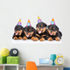 Group of puppies Rottweiler with birthday hats. isolated on white Wall Decal