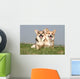 Couple of Welsh Corgi Side by Side Wall Mural