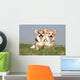 Couple of Welsh Corgi Side by Side Wall Mural