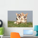 Couple of Welsh Corgi Side by Side Wall Mural