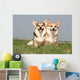 Couple of Welsh Corgi Side by Side Wall Mural