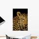 Leopard Wall Mural