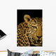 Leopard Wall Mural
