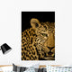 Leopard Wall Mural