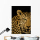 Leopard Wall Mural