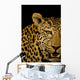 Leopard Wall Mural