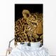 Leopard Wall Mural