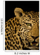 Leopard Wall Mural