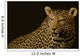 Leopard Wall Mural
