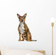 Crossbreed dog isolated on white Wall Decal