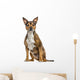 Crossbreed dog isolated on white Wall Decal