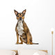 Crossbreed dog isolated on white Wall Decal