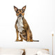 Crossbreed dog isolated on white Wall Decal