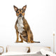Crossbreed dog isolated on white Wall Decal
