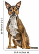 Crossbreed dog isolated on white Wall Decal