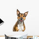 Crossbreed dog isolated on white Wall Decal