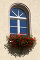 Window with floral decoration Wall Mural