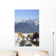 Zen Wall Decal