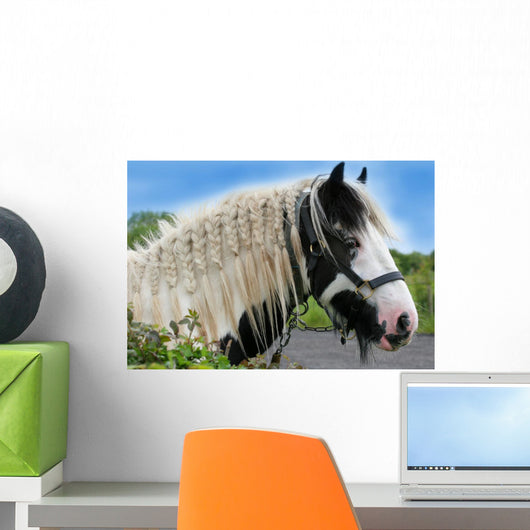 Gypsy Horse Wall Decal