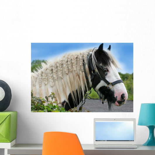 Gypsy Horse Wall Decal