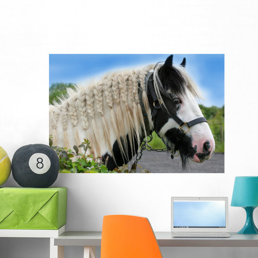 Gypsy Horse Wall Decal