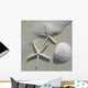 Sea Shell Wall Decal