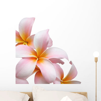 Frangipani Flower White Wall Decal shown on a wall