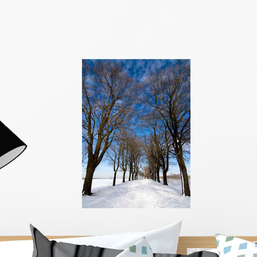 Snowy Wall Decal