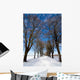 Snowy Wall Decal